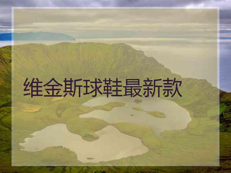 维金斯球鞋最新款