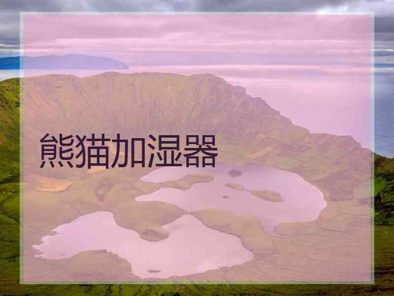 熊猫加湿器