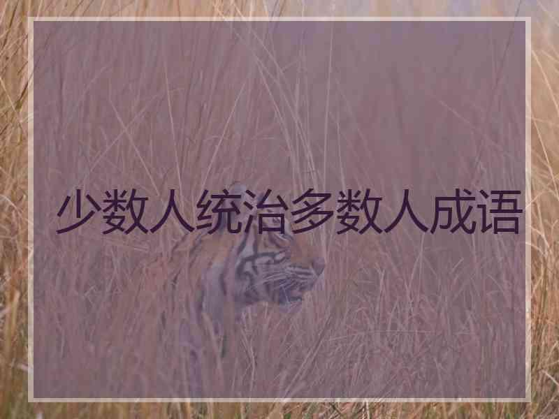 少数人统治多数人成语