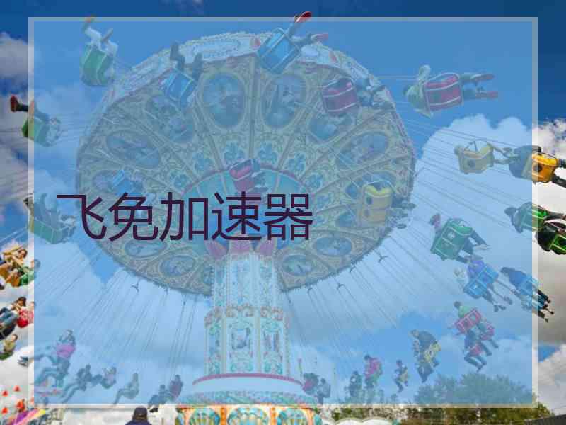 飞免加速器
