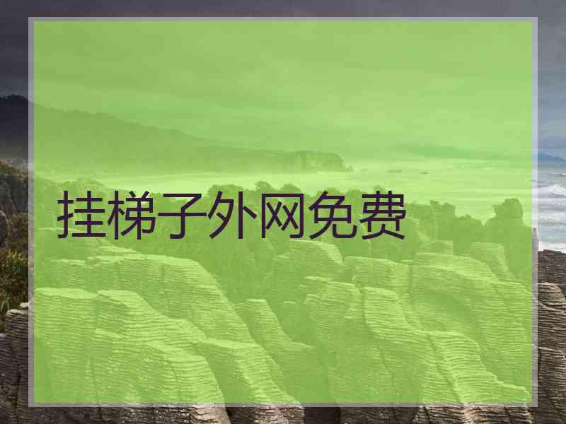 挂梯子外网免费