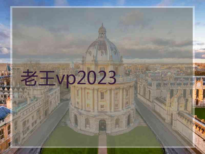 老王vp2023