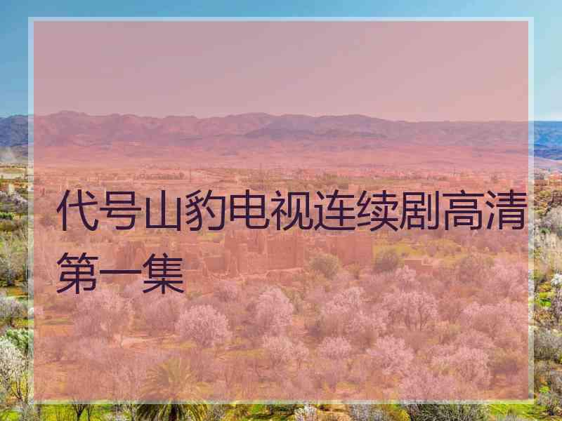 代号山豹电视连续剧高清第一集