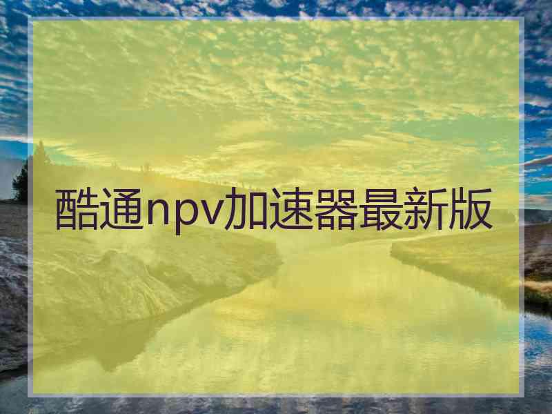 酷通npv加速器最新版