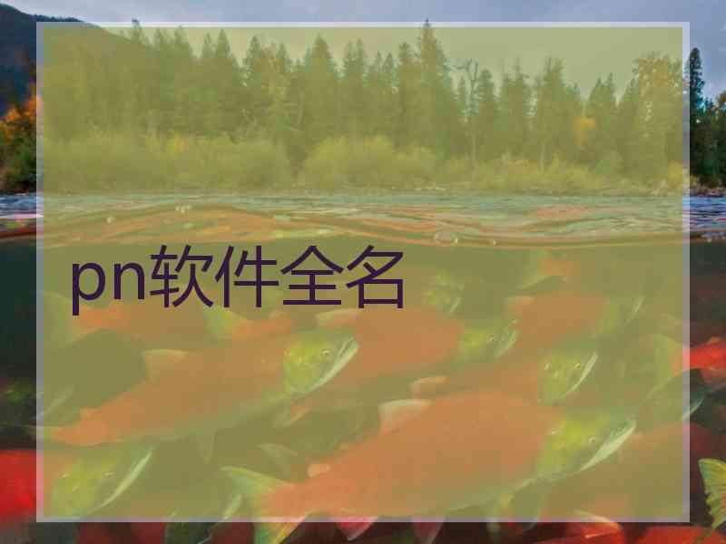pn软件全名