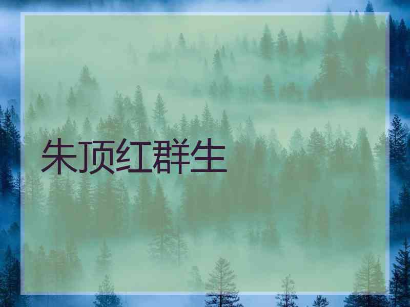 朱顶红群生