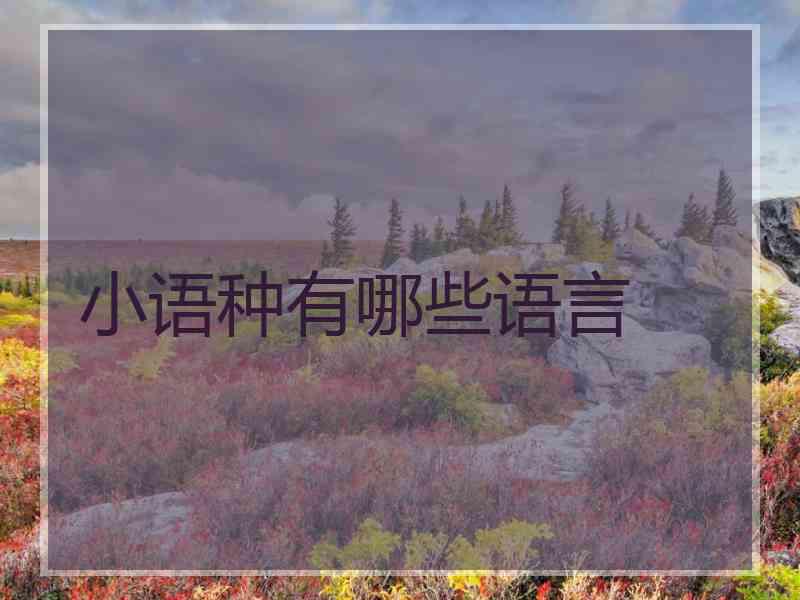 小语种有哪些语言