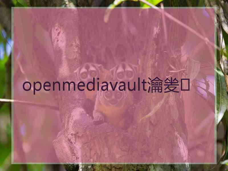openmediavault瀹夎