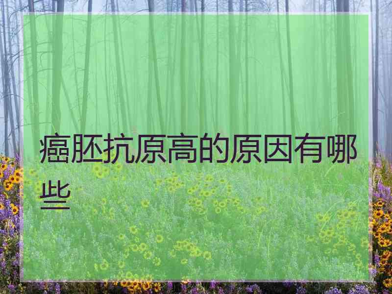 癌胚抗原高的原因有哪些