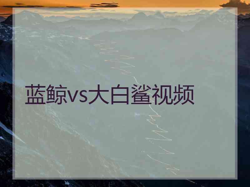 蓝鲸vs大白鲨视频