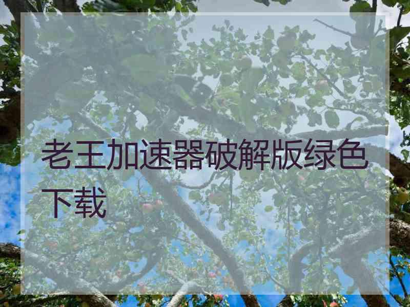 老王加速器破解版绿色下载