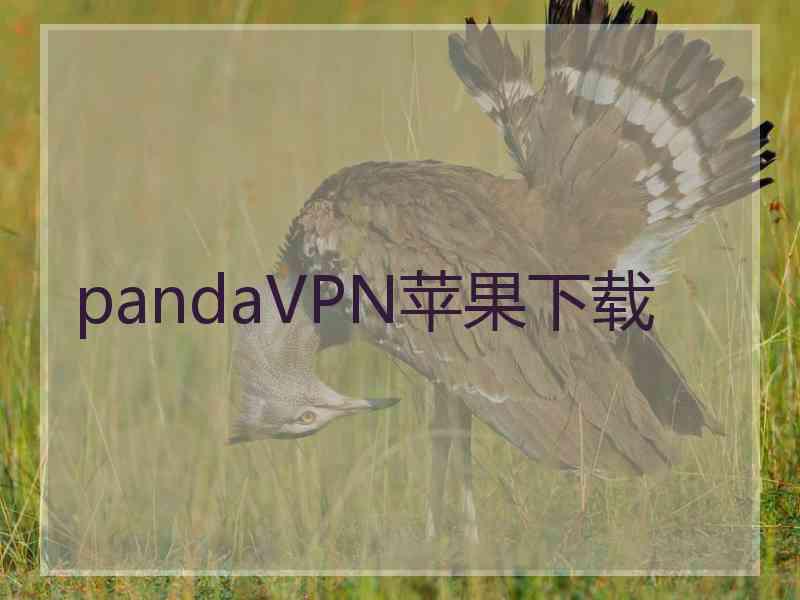 pandaVPN苹果下载