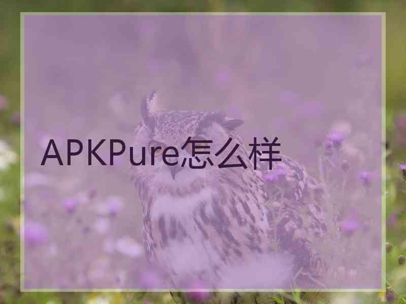 APKPure怎么样