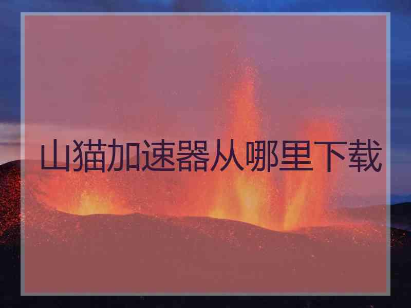 山猫加速器从哪里下载