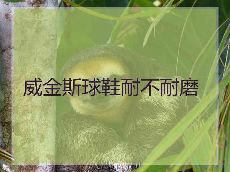 威金斯球鞋耐不耐磨