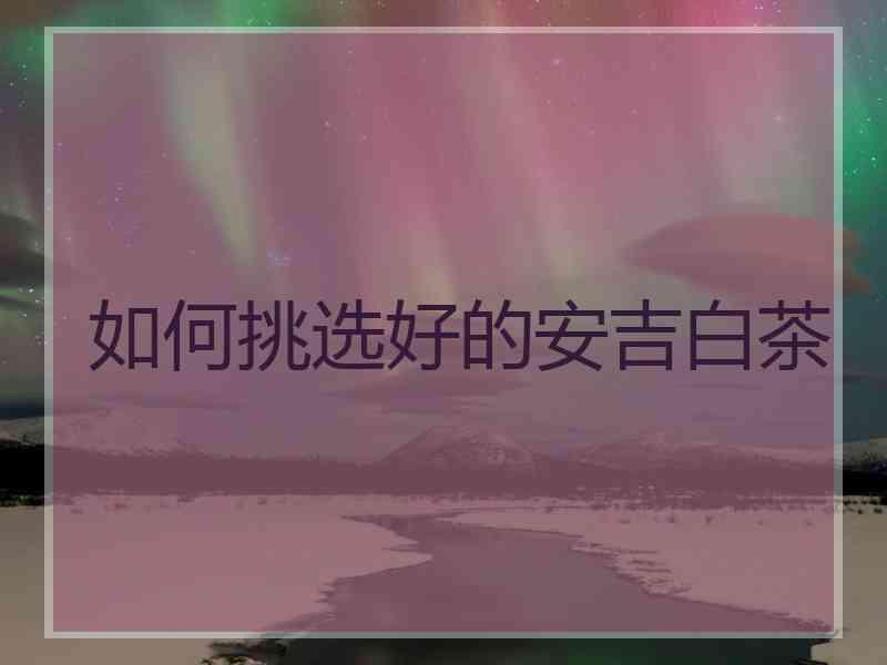 如何挑选好的安吉白茶
