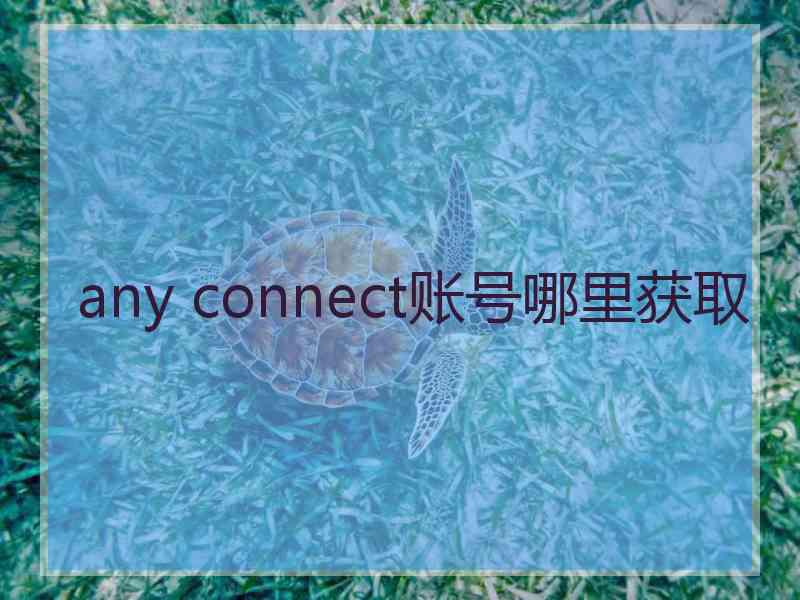 any connect账号哪里获取