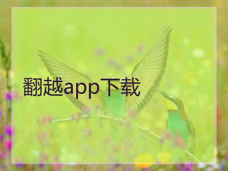 翻越app下载