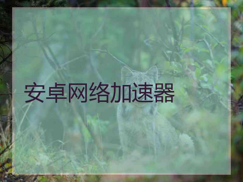 安卓网络加速器