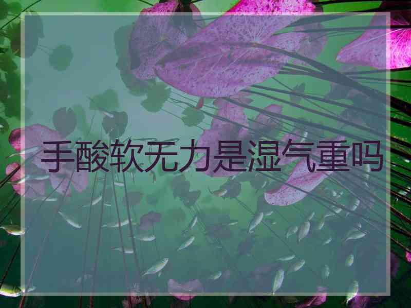 手酸软无力是湿气重吗