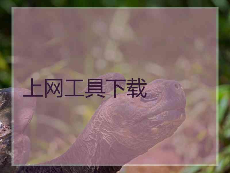 上网工具下载