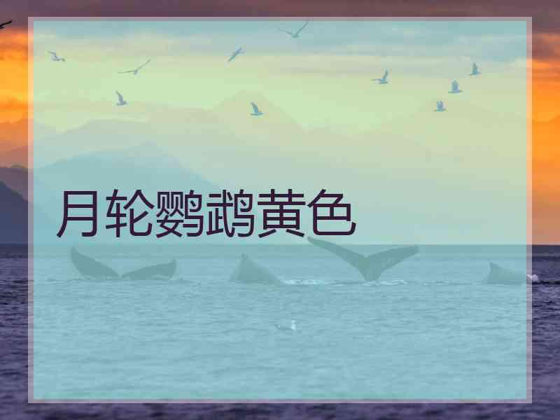 月轮鹦鹉黄色