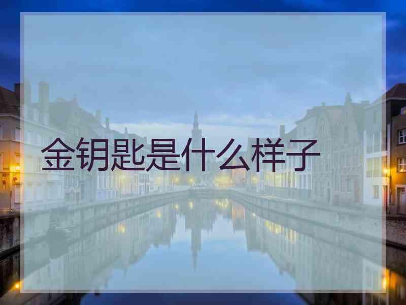 金钥匙是什么样子