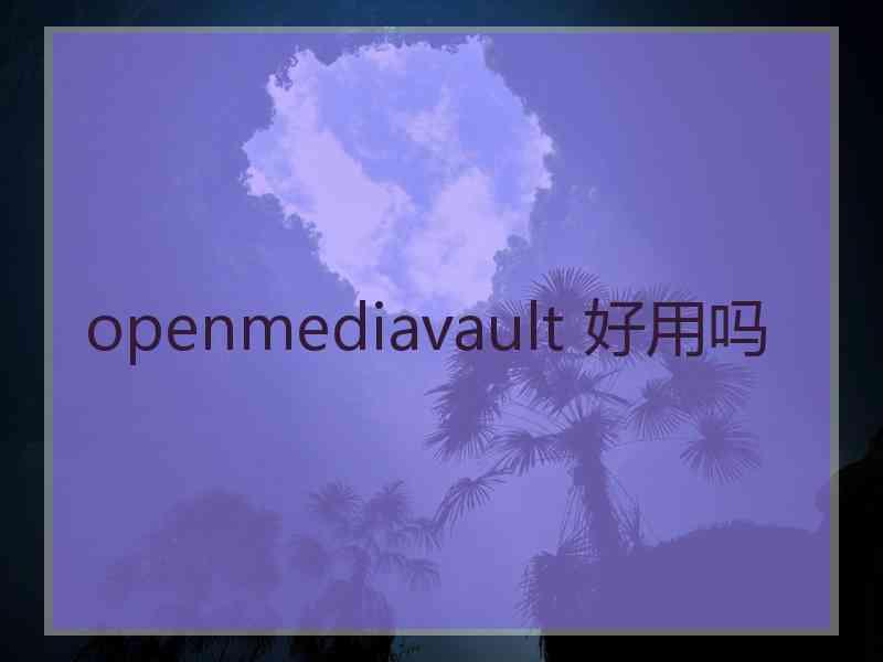 openmediavault 好用吗