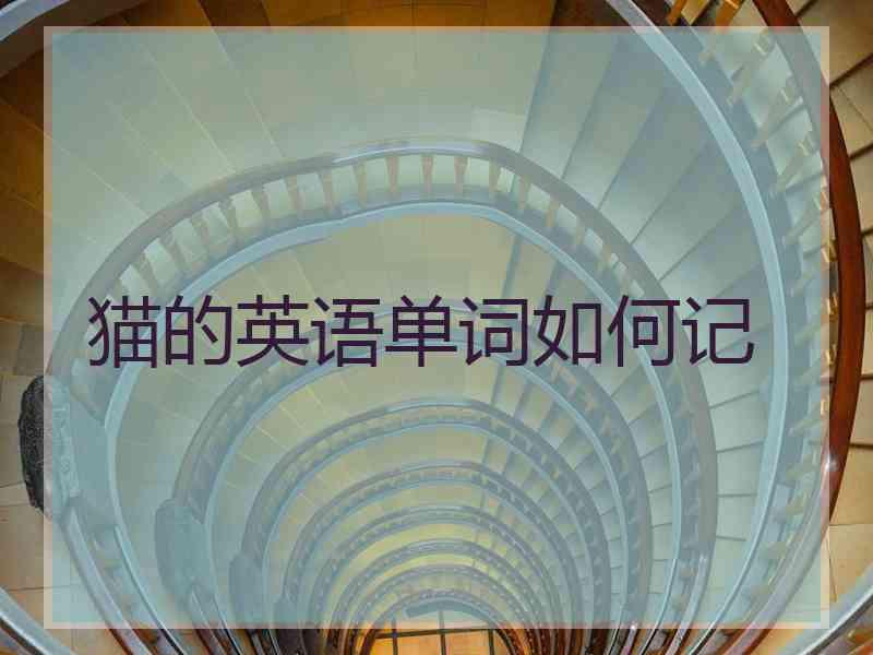 猫的英语单词如何记