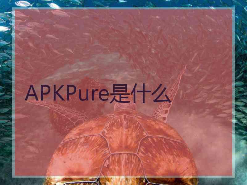 APKPure是什么