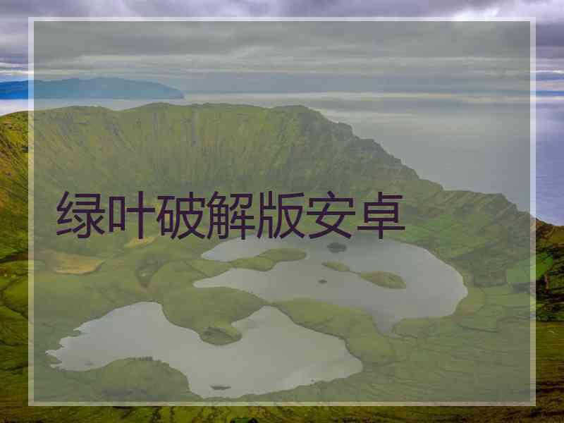 绿叶破解版安卓