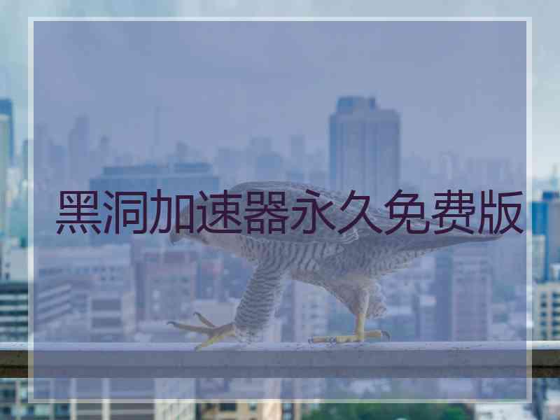 黑洞加速器永久免费版