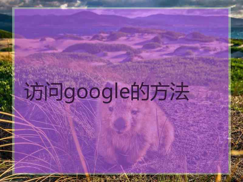 访问google的方法