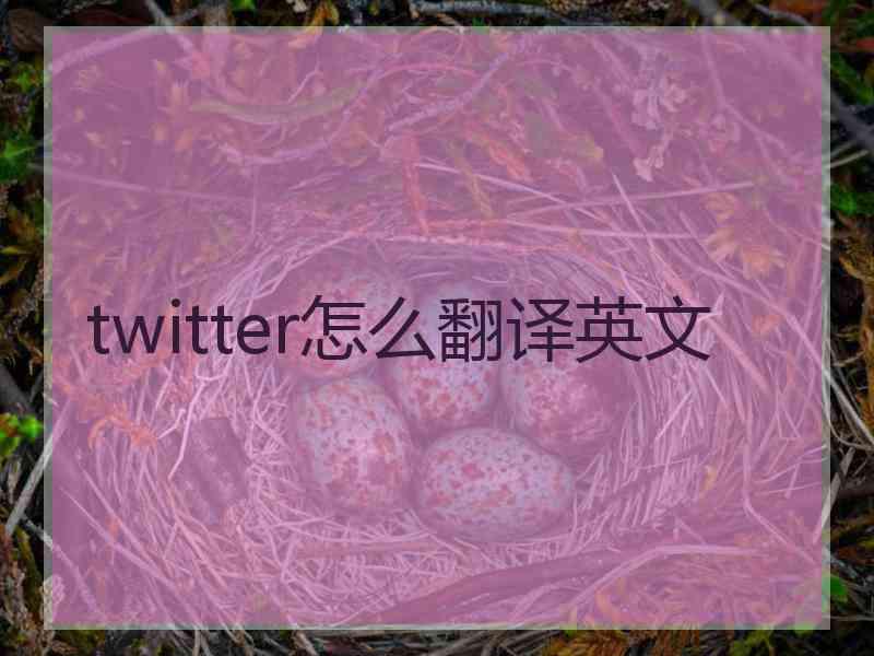 twitter怎么翻译英文