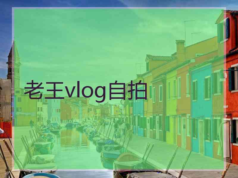 老王vlog自拍