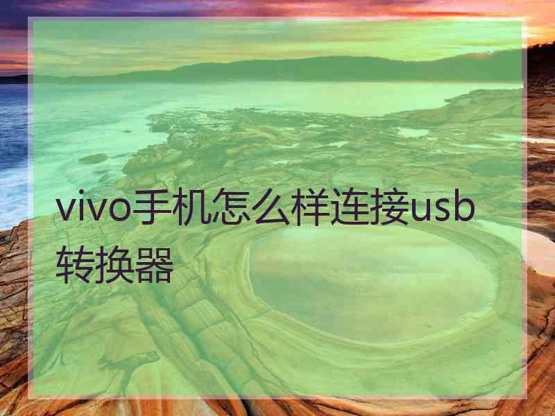 vivo手机怎么样连接usb转换器