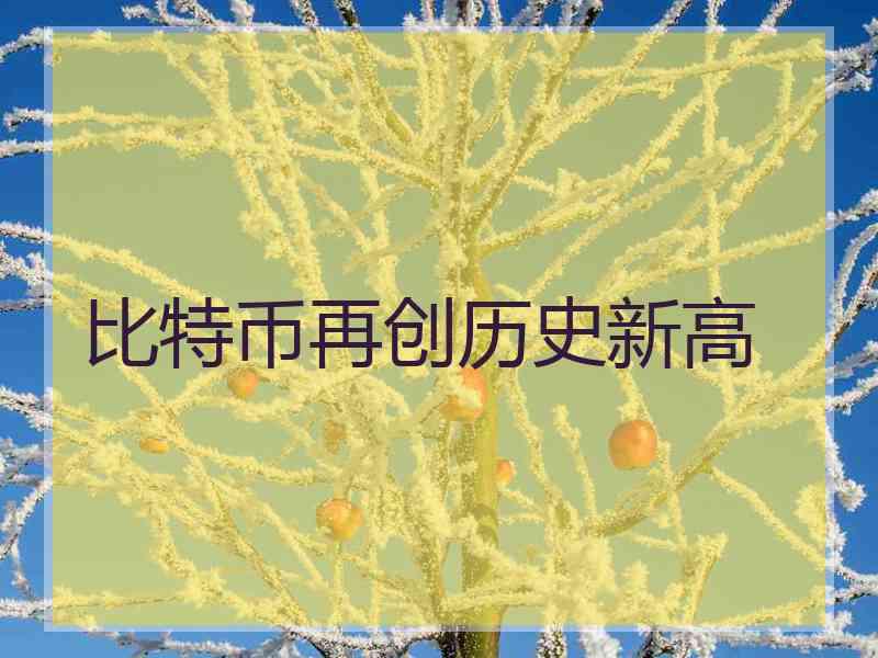 比特币再创历史新高