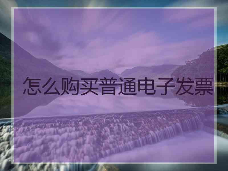 怎么购买普通电子发票