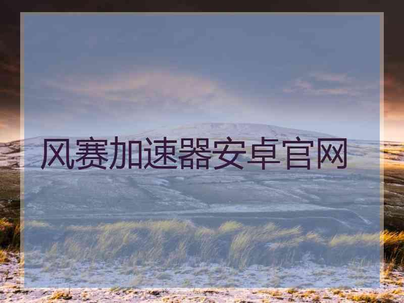 风赛加速器安卓官网
