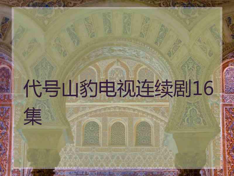 代号山豹电视连续剧16集