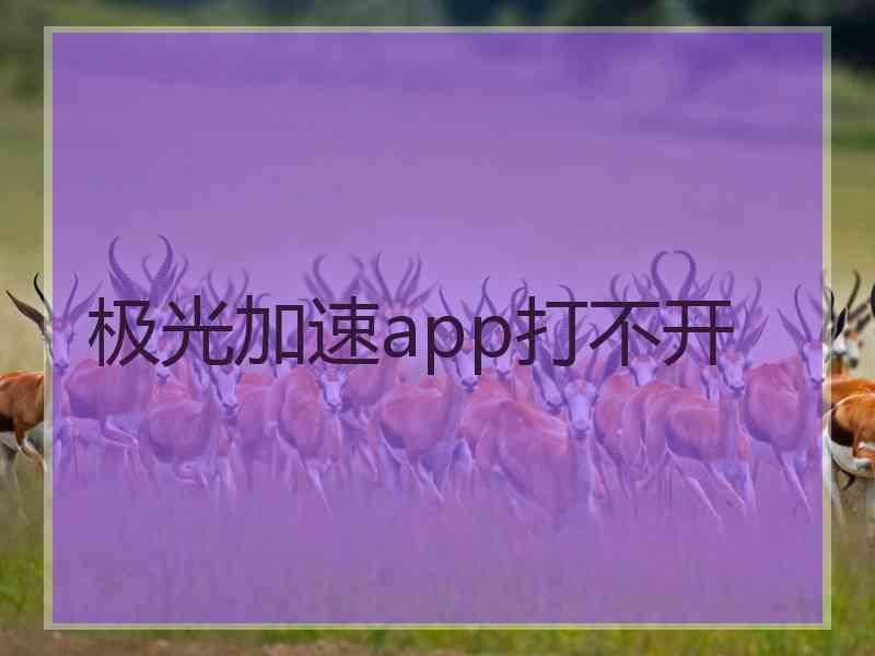 极光加速app打不开