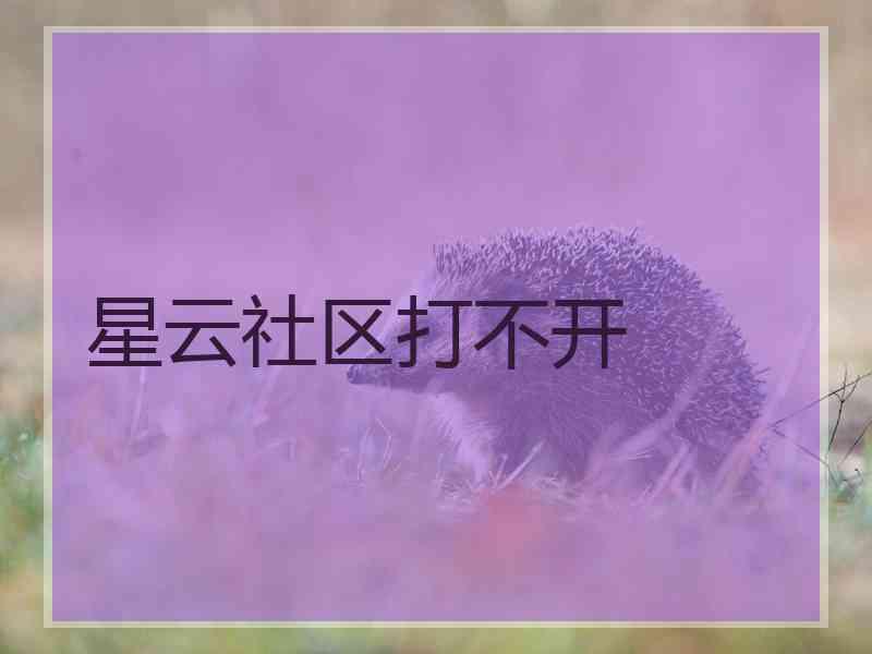 星云社区打不开