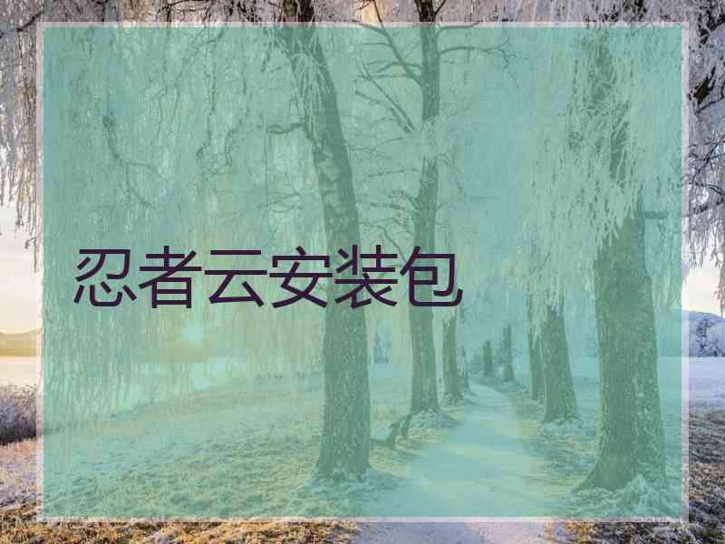 忍者云安装包