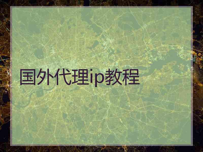国外代理ip教程