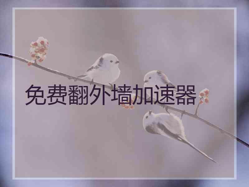 免费翻外墙加速器