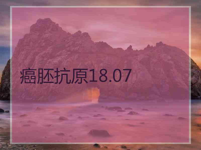 癌胚抗原18.07