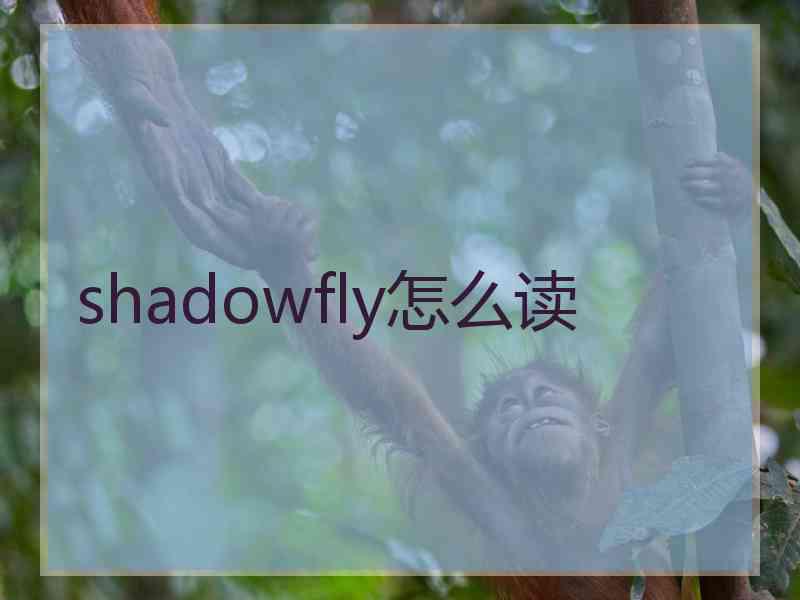 shadowfly怎么读