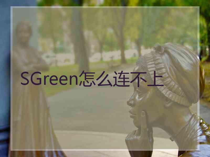 SGreen怎么连不上