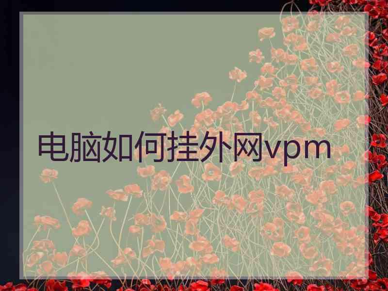 电脑如何挂外网vpm