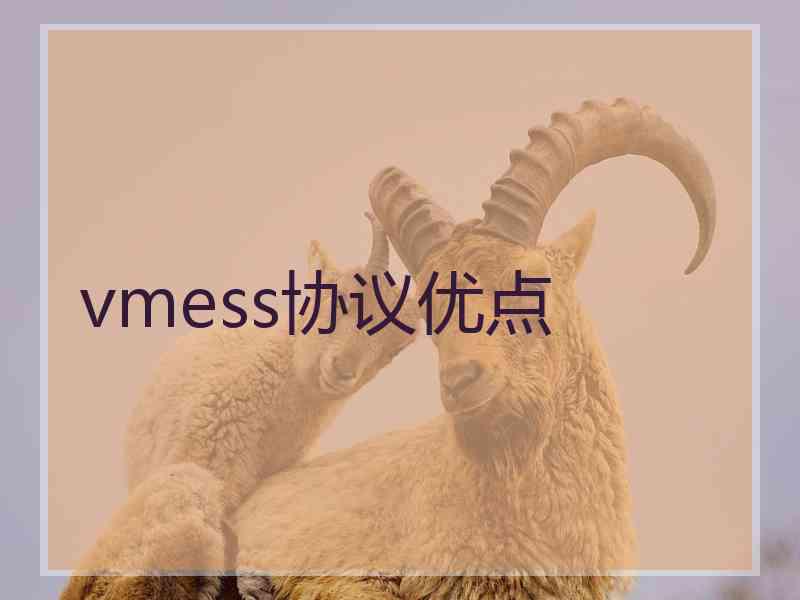 vmess协议优点